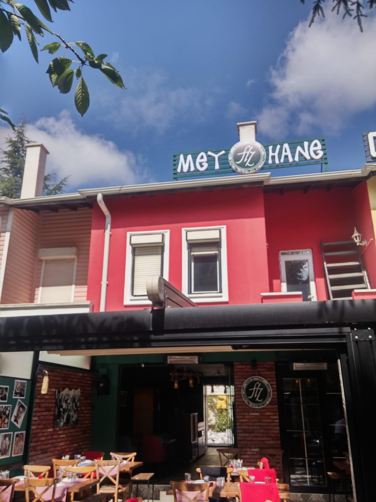 Fiz Meyhane