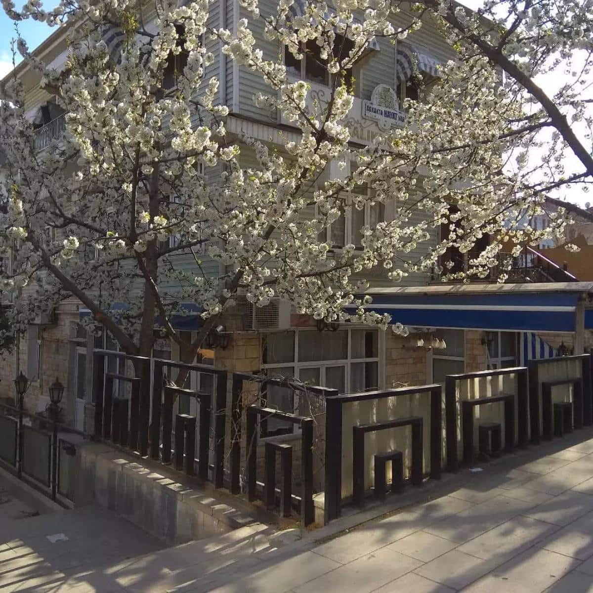 Çalıkuşu Meyhane