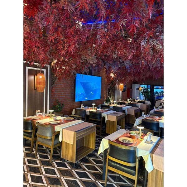 Palmiye Restoran - 11. Fotoğraf