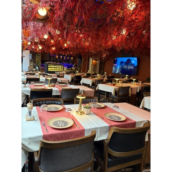 Palmiye Restoran - 15. Fotoğraf